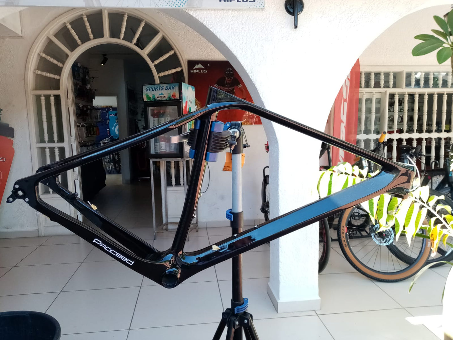 Proceed – Cuadro 29” – Terra X – Carbono – Talla 21”