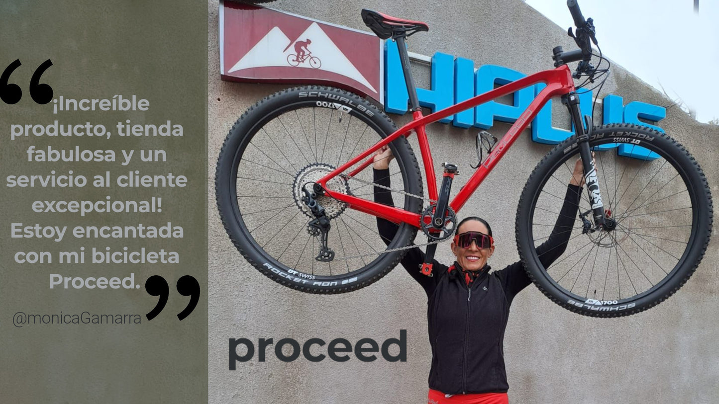 Proceed – Cuadro 29” – Terra X – Carbono – Tallas S/M/L/XL