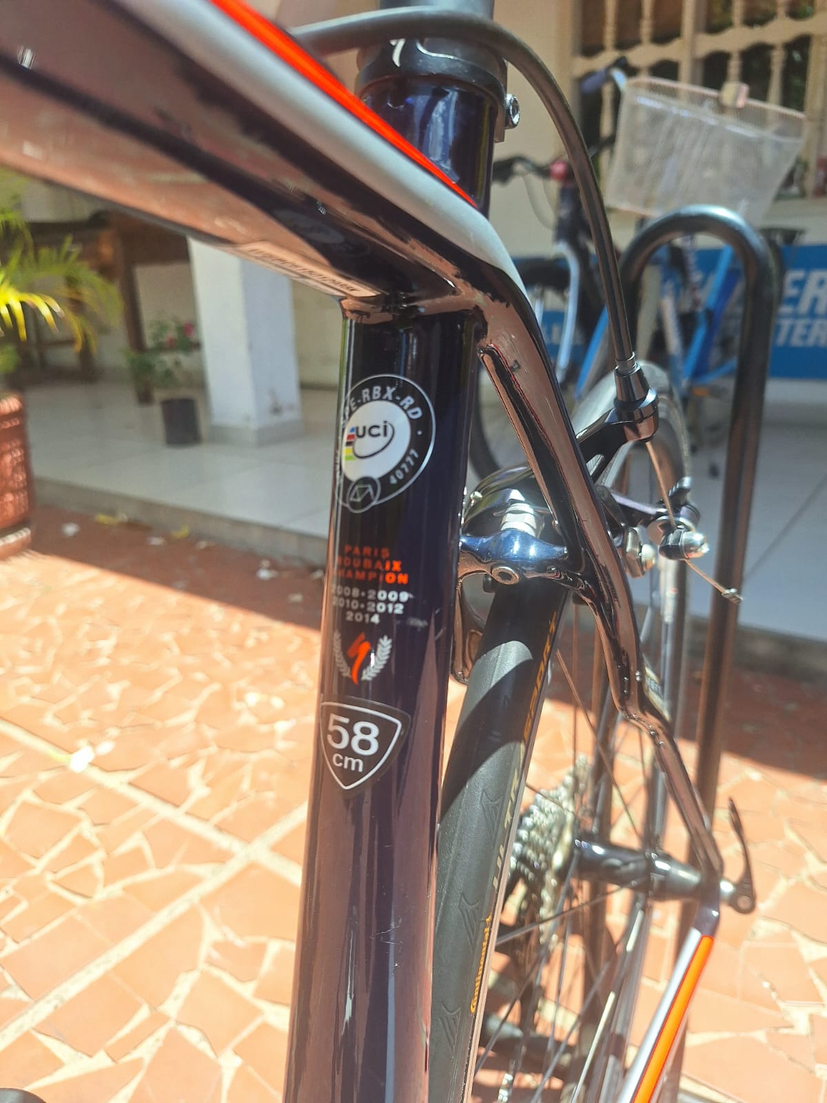 Specialized Roubaix SL4 - carbono - talla 58 (poco uso)