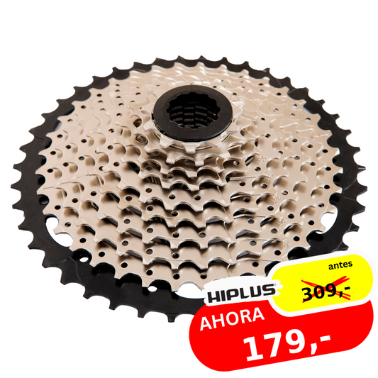 PROMO:rebajas_enero_2026 | SKU:4038 | Proceed - PB6010 - Cassette 11/42d 10v | 309.0 -> 179.0