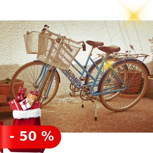 xmas_2025:20251203:50